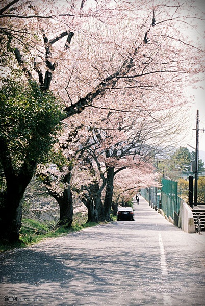 http://i.dcview.tw/gallery/201406/035ca2dfc74a3ee8e0d8d724ce59cfd7.jpg