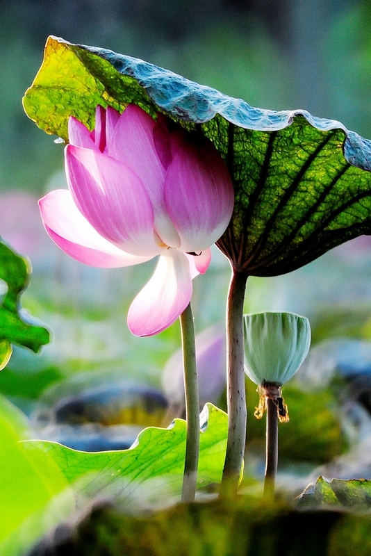 http://i.dcview.tw/gallery/201406/078e9ac1669d185c37490805386cd736.jpg