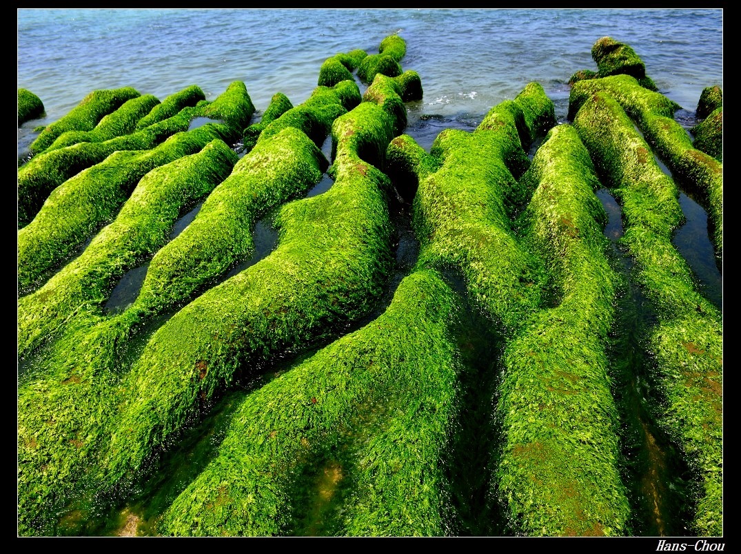 http://i.dcview.tw/gallery/201406/0977e68a410e86ef6646ca5c9c3ffe45.jpg
