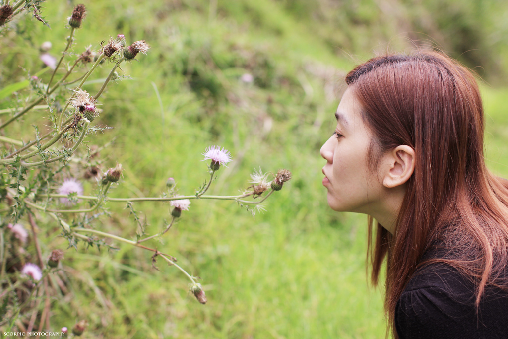 http://i.dcview.tw/gallery/201406/09a631923ac08086b12ae2eb821bb745.jpg