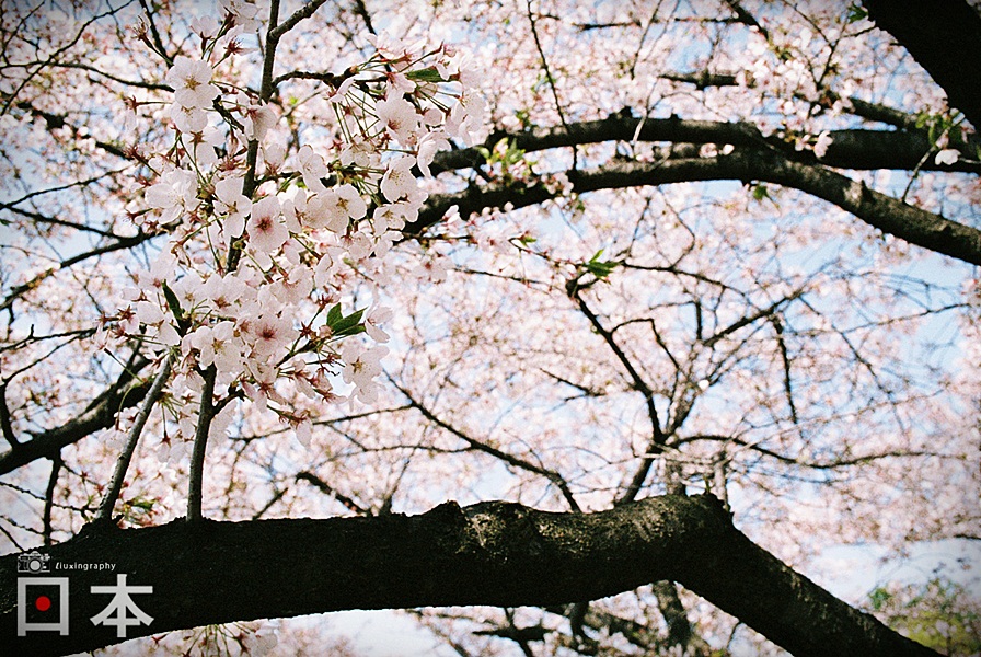 http://i.dcview.tw/gallery/201406/1863ba34b1fc460bf768d3c7f05be4f2.jpg