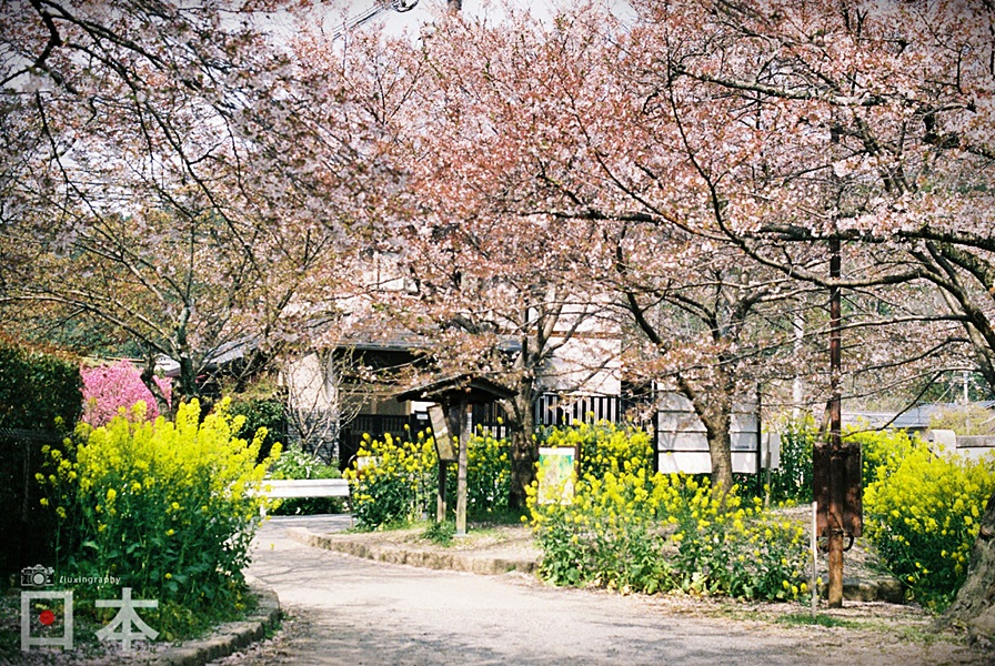 http://i.dcview.tw/gallery/201406/350787cb8f656db35556a86548da0a67.jpg