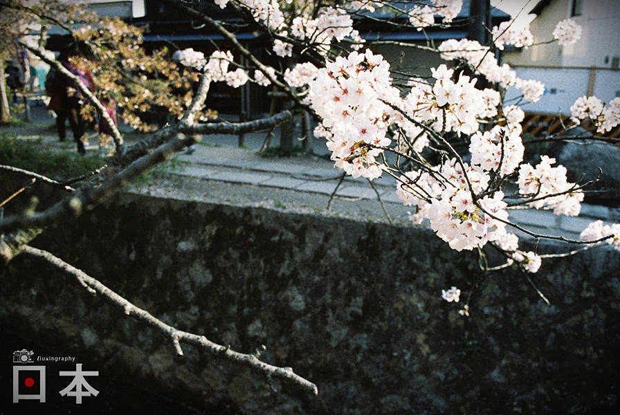 http://i.dcview.tw/gallery/201406/37643d3cc1d916c6750f75dedb5a687b.jpg