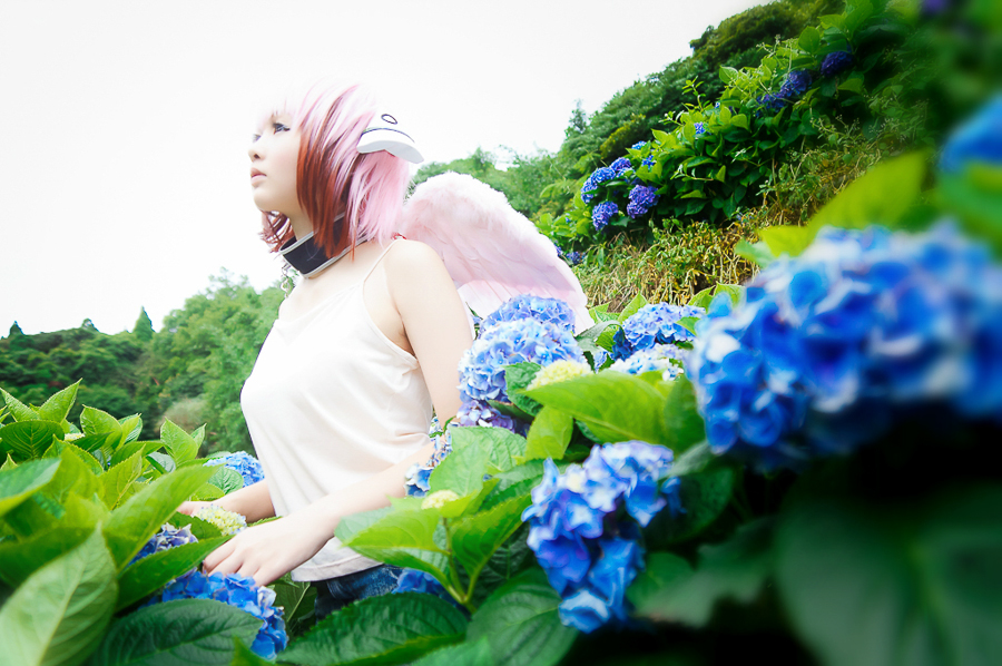 http://i.dcview.tw/gallery/201406/3e56d907d56cedc777fa90b03e9c2a4f.jpg