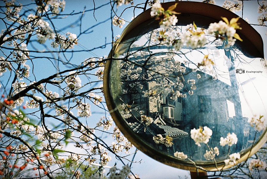 http://i.dcview.tw/gallery/201406/4290ed53d24ff6bf1c0049bda18d548b.jpg