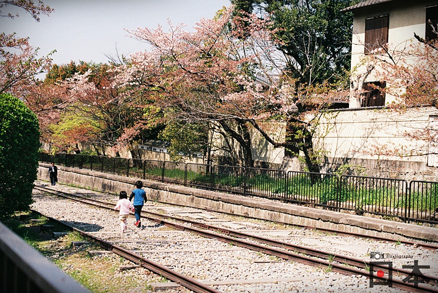 http://i.dcview.tw/gallery/201406/447e55bd94bd881d56275f526f8d1386.jpg