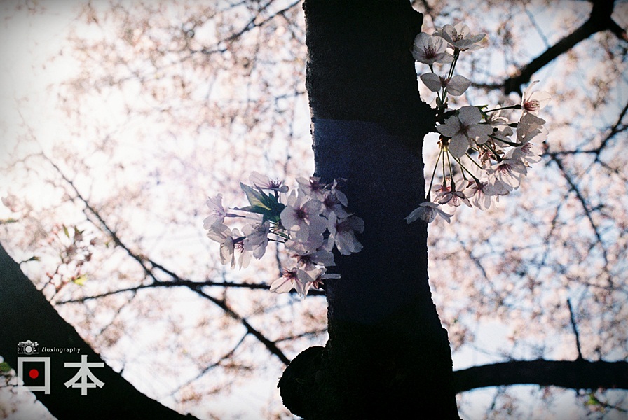 http://i.dcview.tw/gallery/201406/4d826d250ace09b8098db727c1011f4e.jpg