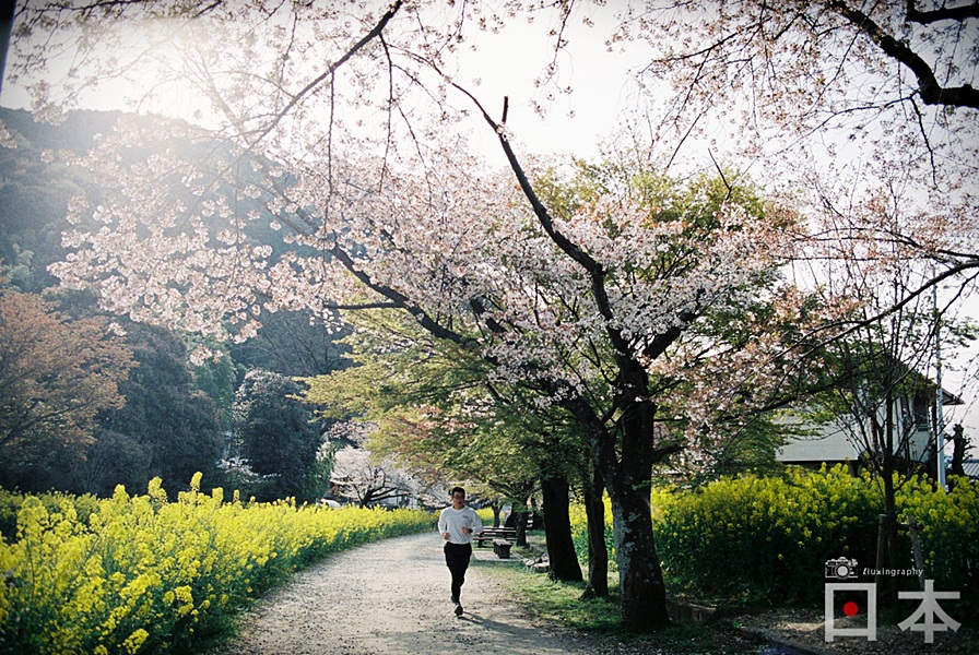 http://i.dcview.tw/gallery/201406/609d547dae435422d25f222488d474bb.jpg