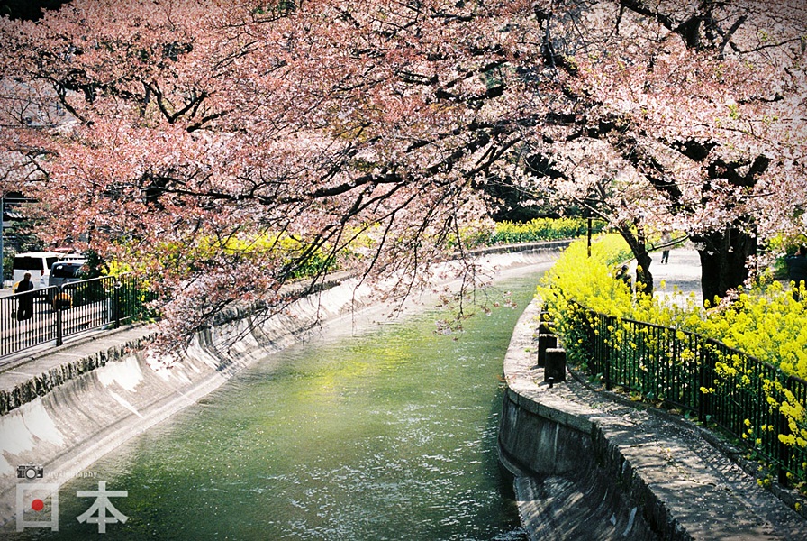 http://i.dcview.tw/gallery/201406/658c6622bf3c94077d623712eb45a451.jpg