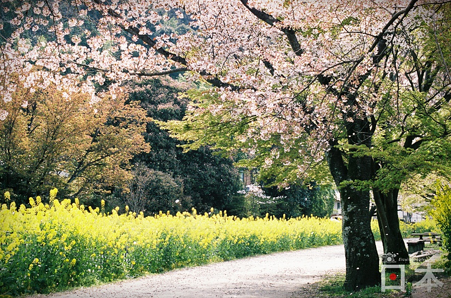 http://i.dcview.tw/gallery/201406/65f24f7410ba8ec731d546b19fed7a57.jpg