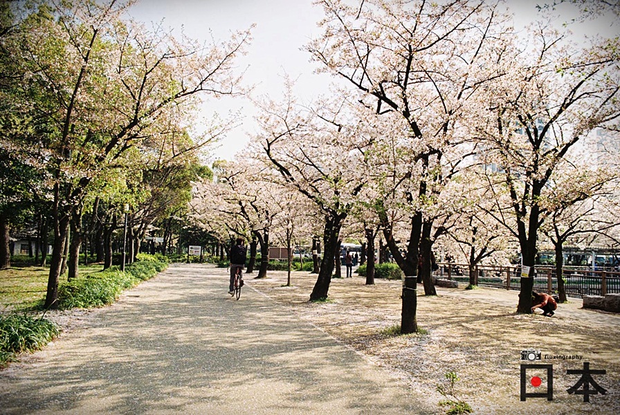 http://i.dcview.tw/gallery/201406/71c32fe1c25e5885b880c43aa2470705.jpg