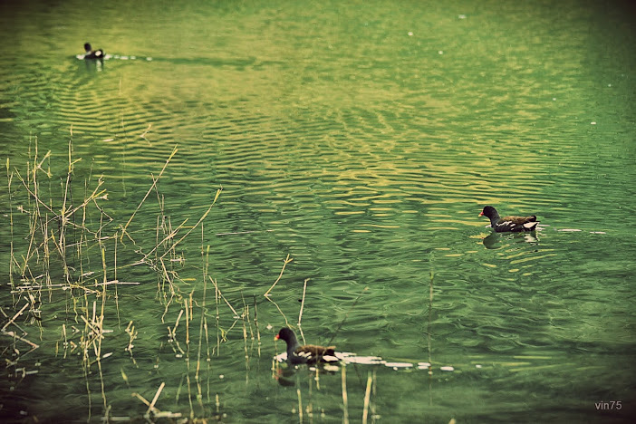 http://i.dcview.tw/gallery/201406/78d40400d36297a90342c49cf2de9c0d.jpg
