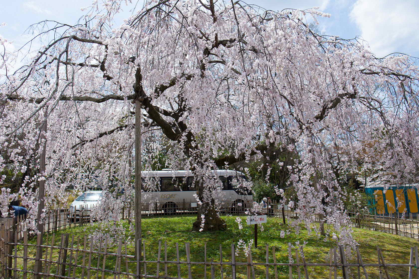 http://i.dcview.tw/gallery/201406/8991603054e700ac6d3e4e29d2f5c78f.jpg