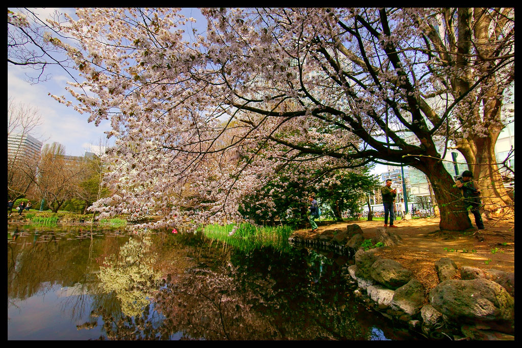 http://i.dcview.tw/gallery/201406/98b87319bc0ccf3bb25d30f49786f7bf.jpg