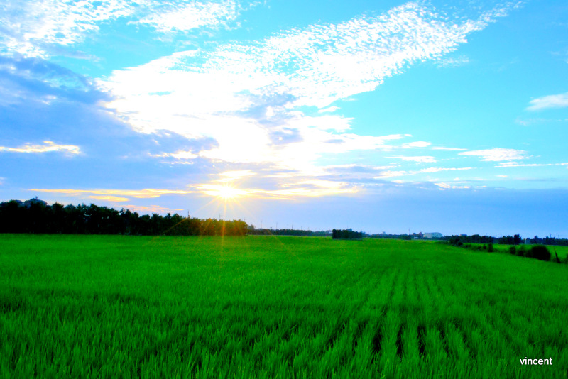 http://i.dcview.tw/gallery/201406/9b7396e30e7247d840a06ce2f65a2a37.jpg