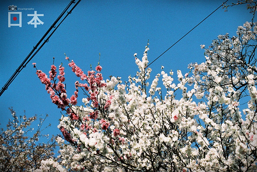 http://i.dcview.tw/gallery/201406/a3fa0e427267eac95d0654ab61538a31.jpg