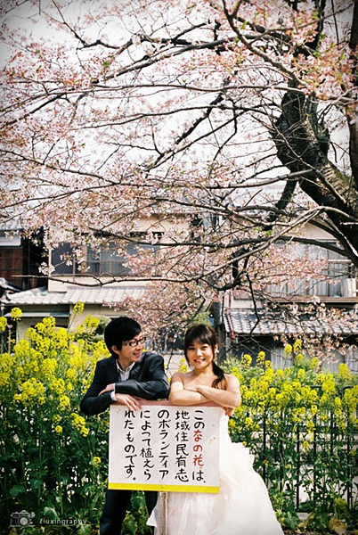 http://i.dcview.tw/gallery/201406/a77235578169c18c7012fe72b48c8538.jpg