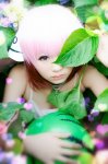 「天降之物」