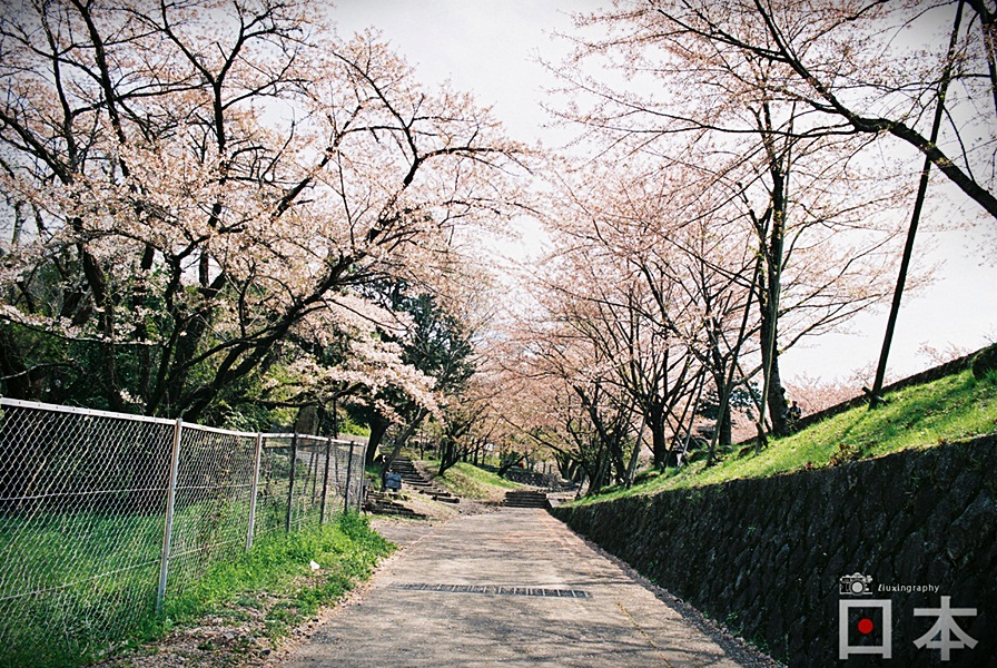 http://i.dcview.tw/gallery/201406/af3ba6cdef0be1e3ac7423c040453d5e.jpg