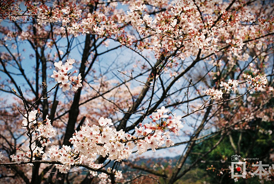 http://i.dcview.tw/gallery/201406/beb472a56d25b0a02e16664a3003ca6a.jpg