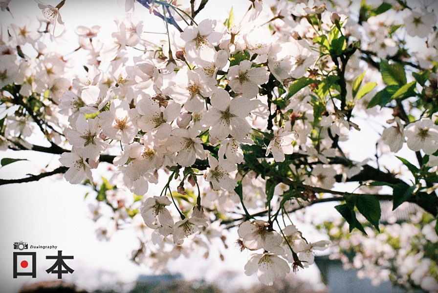 http://i.dcview.tw/gallery/201406/bee3fbf77f17668aa6feea03da5bd5b4.jpg