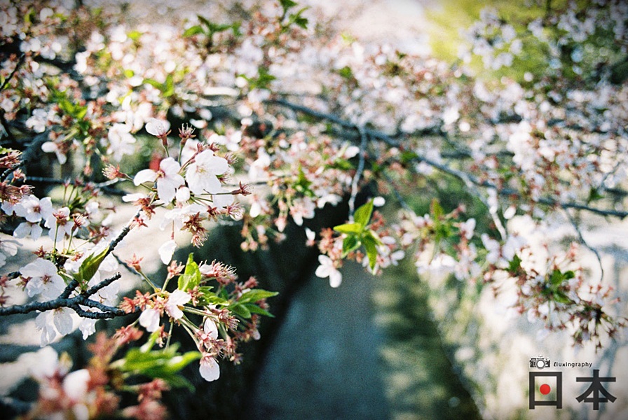 http://i.dcview.tw/gallery/201406/bfad43f3fd7948e39f452069ac8a9878.jpg