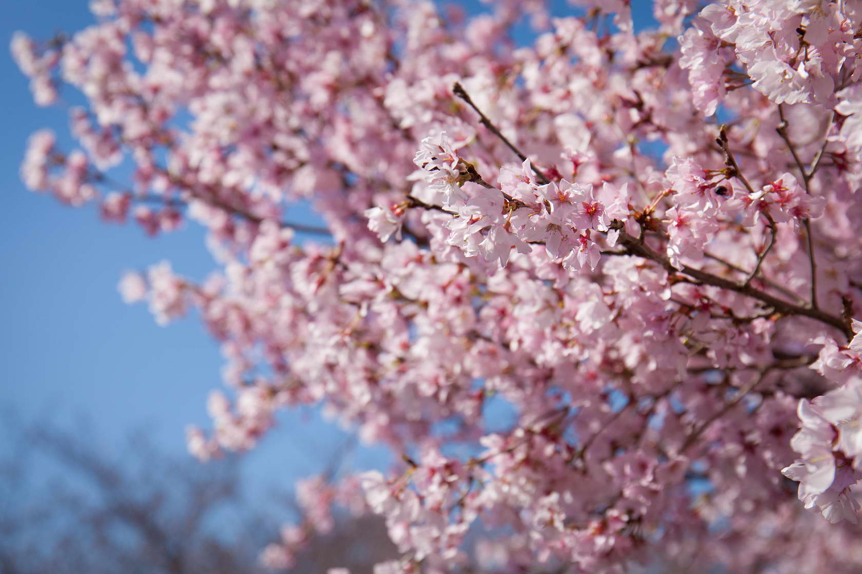http://i.dcview.tw/gallery/201406/c3982cc3c38561040789127e451eede6.jpg