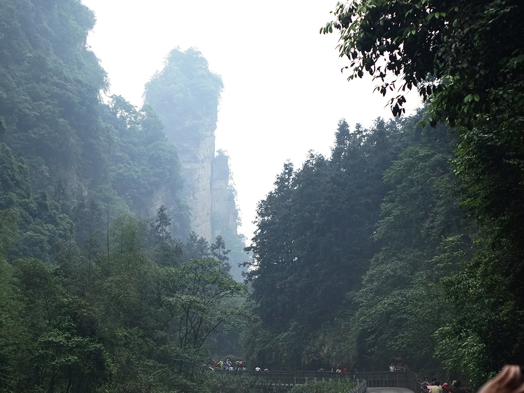 http://i.dcview.tw/gallery/201406/c72a8539be68244ad35431b463f7d55a.jpg