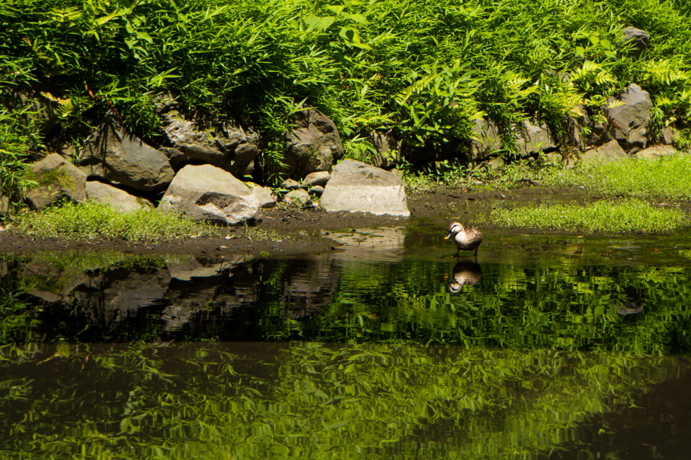 http://i.dcview.tw/gallery/201406/cc830461adbd3e3e32e060ba4572d4e5.jpg