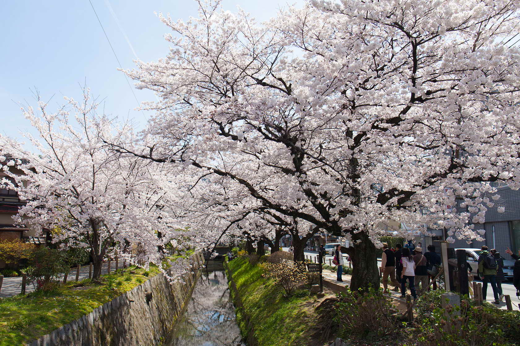 http://i.dcview.tw/gallery/201406/d05c85be7d7d9fd7938f2d28a16af5ed.jpg