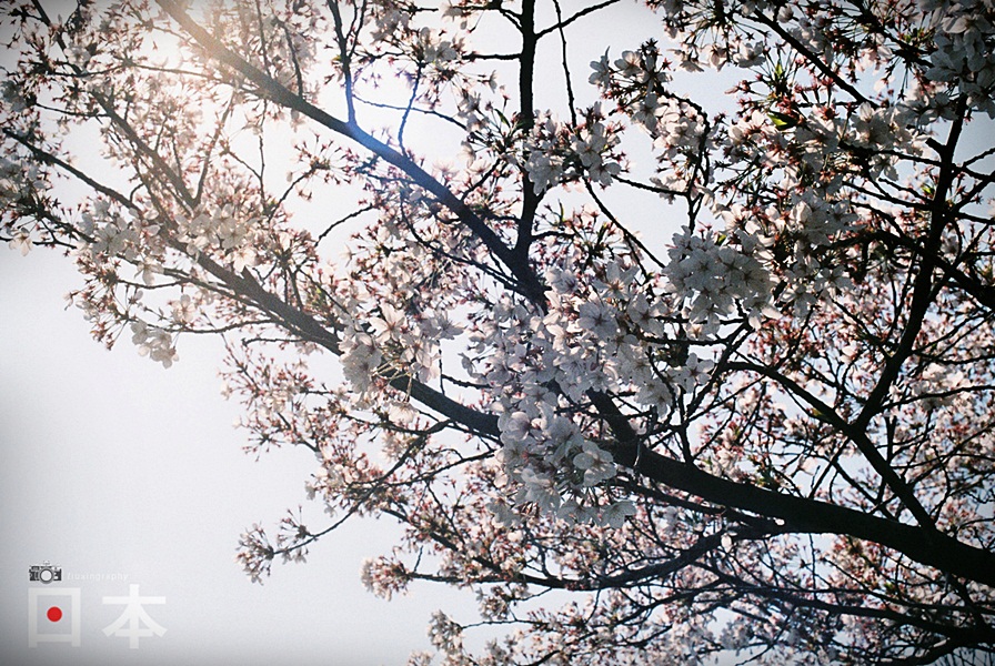 http://i.dcview.tw/gallery/201406/df4dbfaa3ec75959f51b1d68d4c53eef.jpg