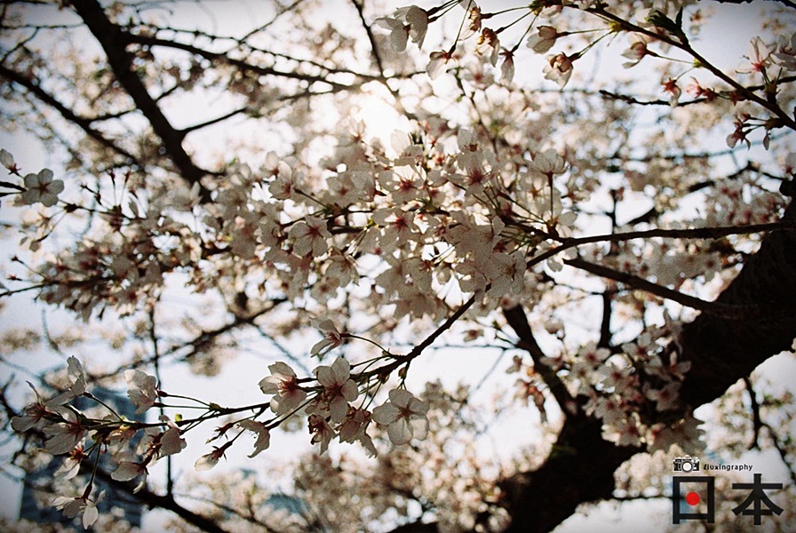 http://i.dcview.tw/gallery/201406/e725abf11ba8bce9a63cba4b8edad0a4.jpg