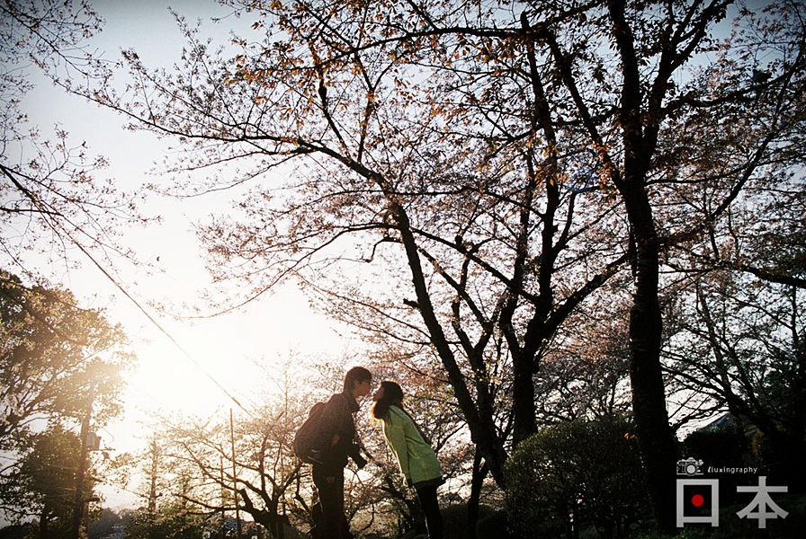 http://i.dcview.tw/gallery/201406/f819fa8b2c225ef32787e39c54215f00.jpg