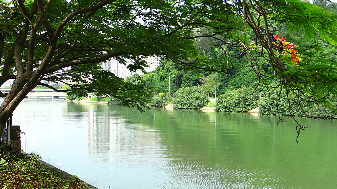 http://i.dcview.tw/gallery/201407/0c82737381d2ba4bb7e336324c59d435.jpg
