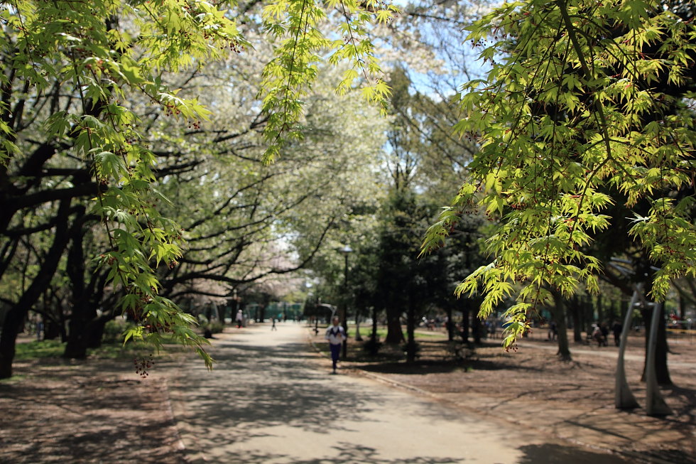 http://i.dcview.tw/gallery/201407/3a3bde2dc81066c64d596609bc4e6469.jpg