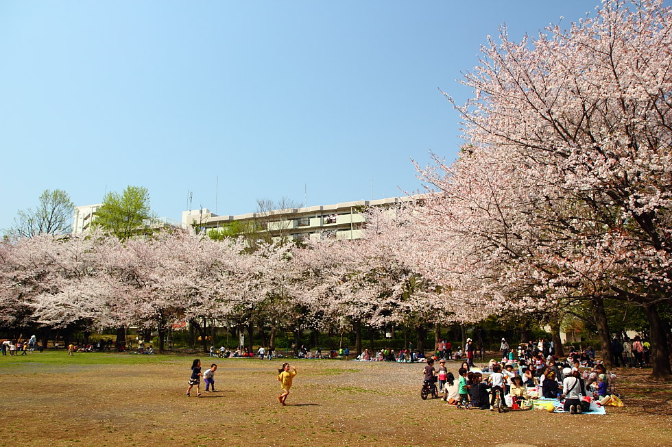 http://i.dcview.tw/gallery/201407/42b56e53264b4f7903d12535a8d3e202.jpg