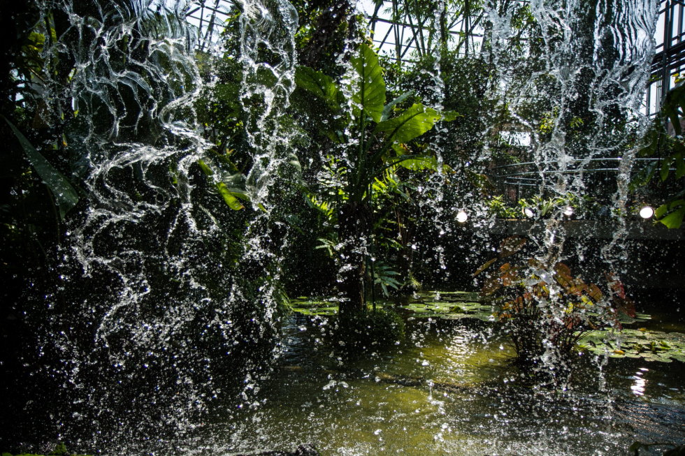 http://i.dcview.tw/gallery/201407/64c8b99f87ca753ed180b5a330b09b58.jpg