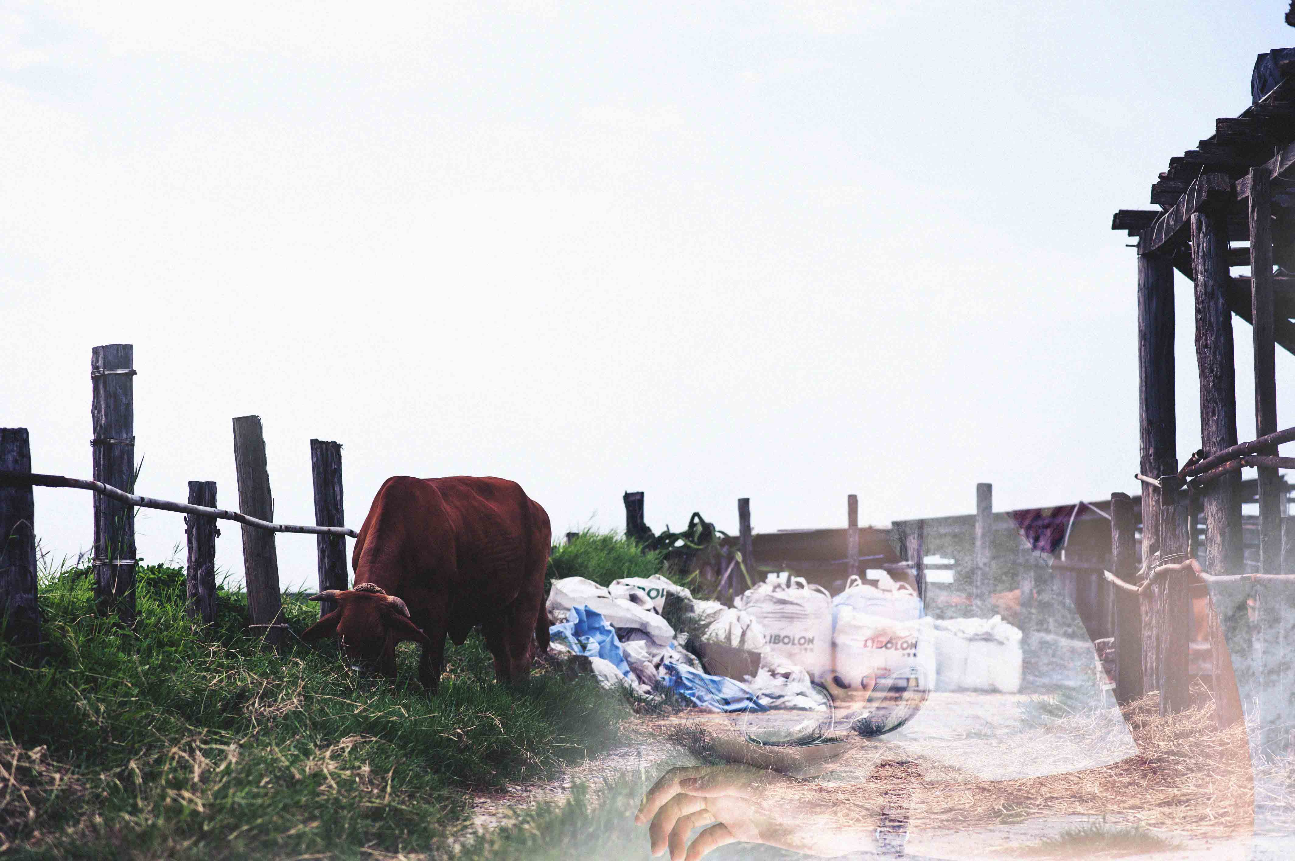http://i.dcview.tw/gallery/201407/6a811829fd8434c5a9d962026386800a.jpg