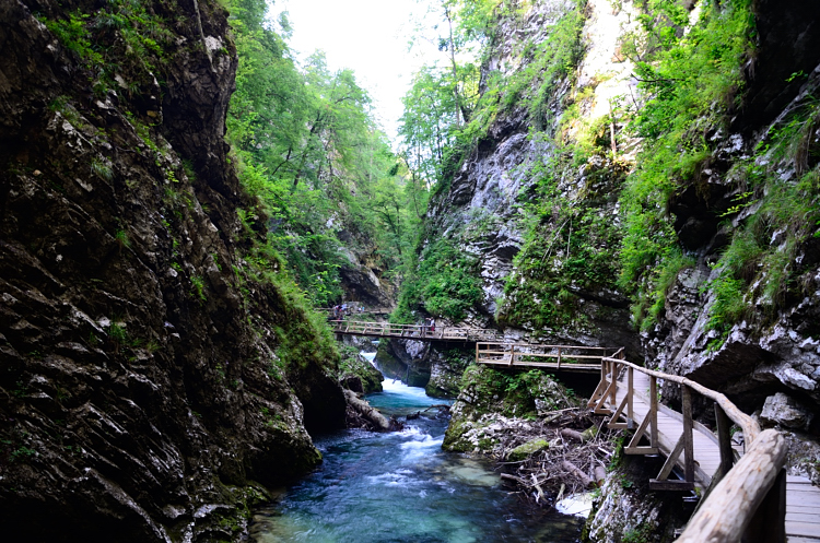 http://i.dcview.tw/gallery/201407/71758742b2a6c046a9bc50055c2fd039.jpg