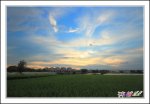 稻香夕彩