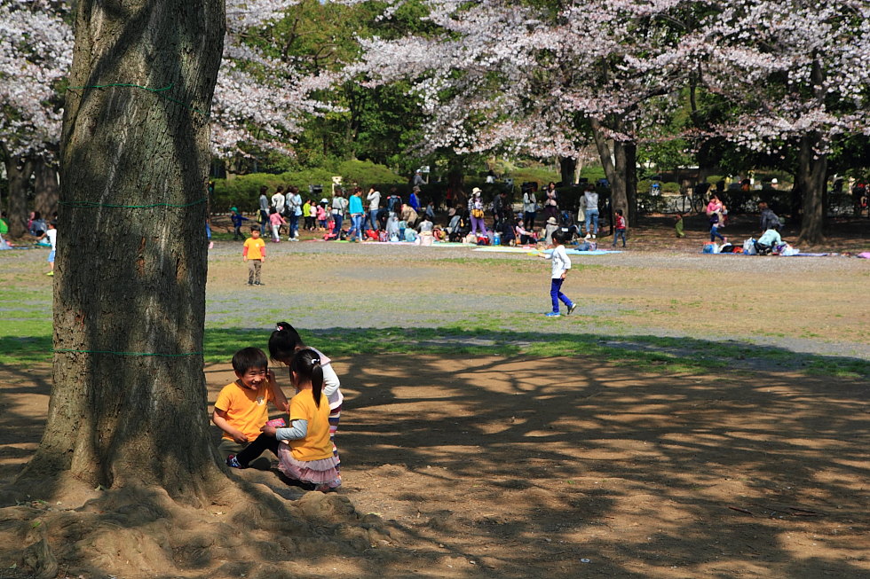 http://i.dcview.tw/gallery/201407/911426ed5984144d4d752a6c7777f316.jpg