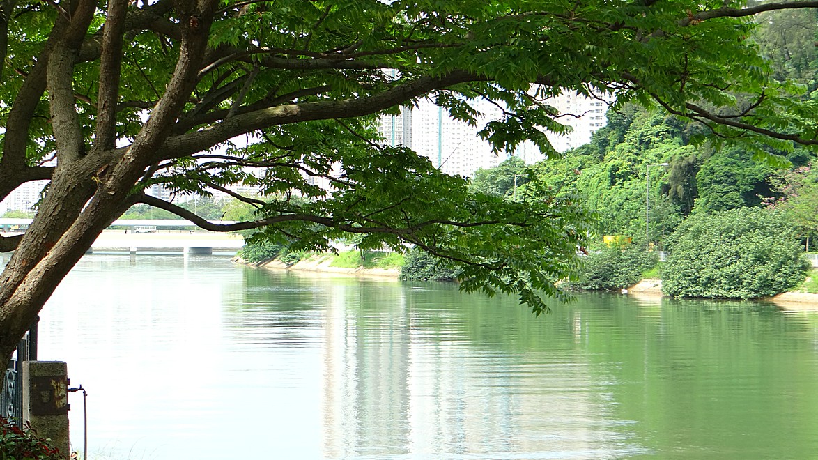 http://i.dcview.tw/gallery/201407/a695ce03828597a68a7627dd434edb5f.jpg