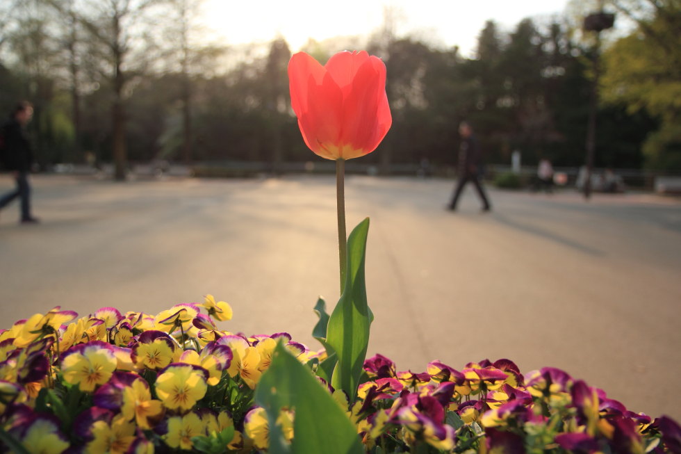 http://i.dcview.tw/gallery/201407/a93339ec0b0784f73cfbbfe9eab8c896.jpg