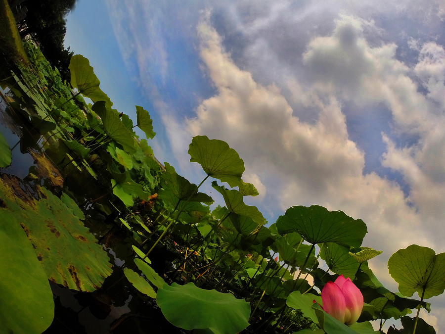 http://i.dcview.tw/gallery/201407/b81cde4046289965a8f51cc5e38ff464.jpg