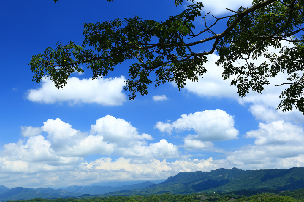http://i.dcview.tw/gallery/201407/c6d3be3843856e4eed5b14af57d0a6c9.jpg