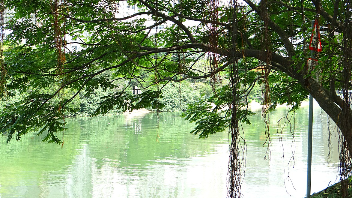 http://i.dcview.tw/gallery/201407/d818e71d618a416682a55924000928a7.jpg