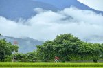 6月台東雨中行