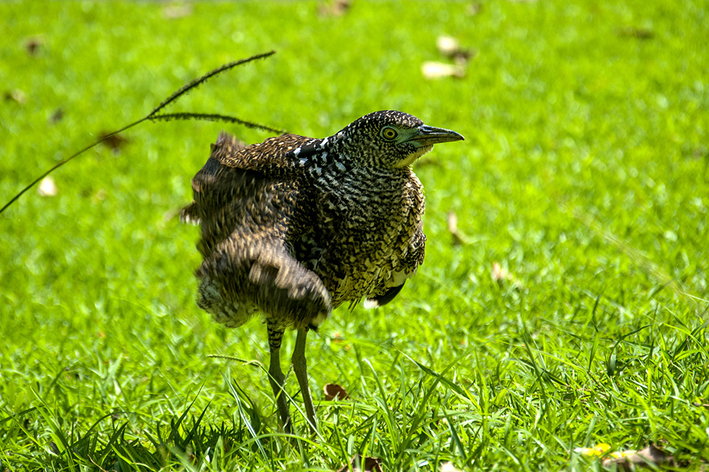 http://i.dcview.tw/gallery/201407/f51f13868b54d66ef2705b4f409d5251.jpg
