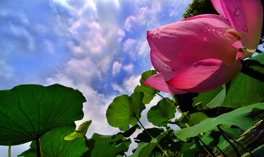 http://i.dcview.tw/gallery/201407/fba3e49d736c23622a3f3b5fa7df2071.jpg
