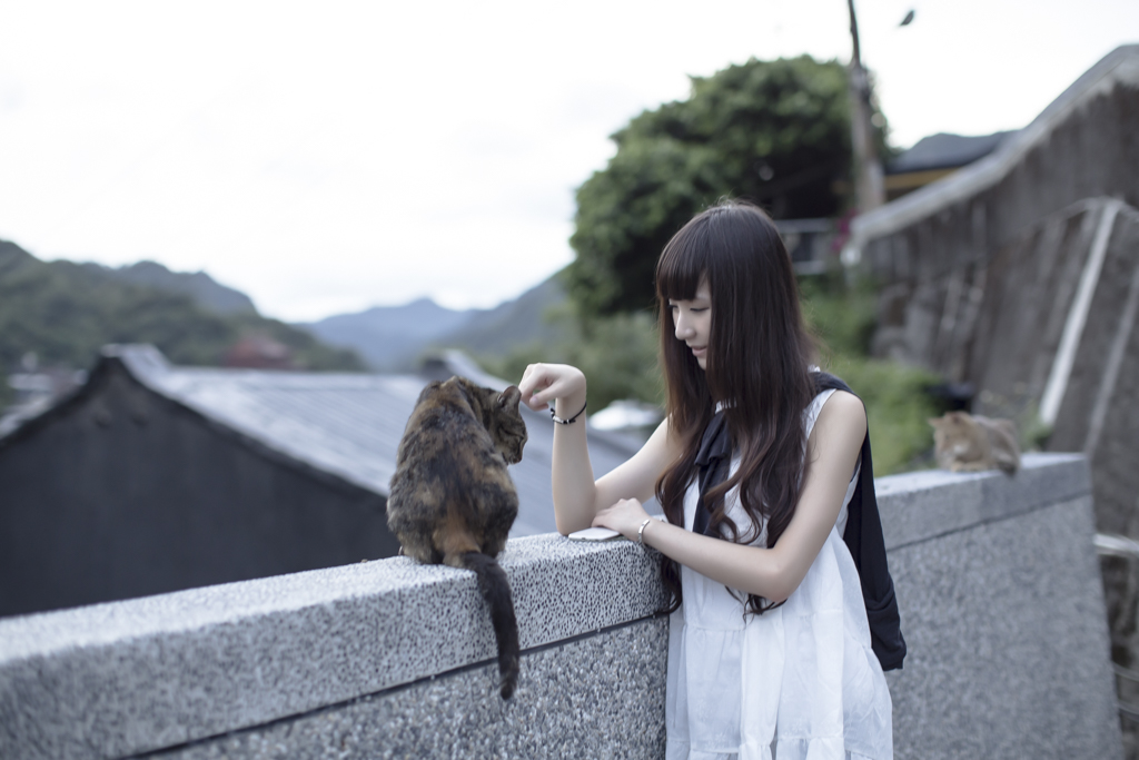 http://i.dcview.tw/gallery/201408/184c5cb3c21c88d2e3b70354020a81b5.jpg